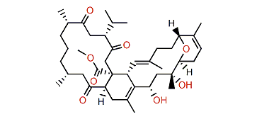 Methyl tortuoate A